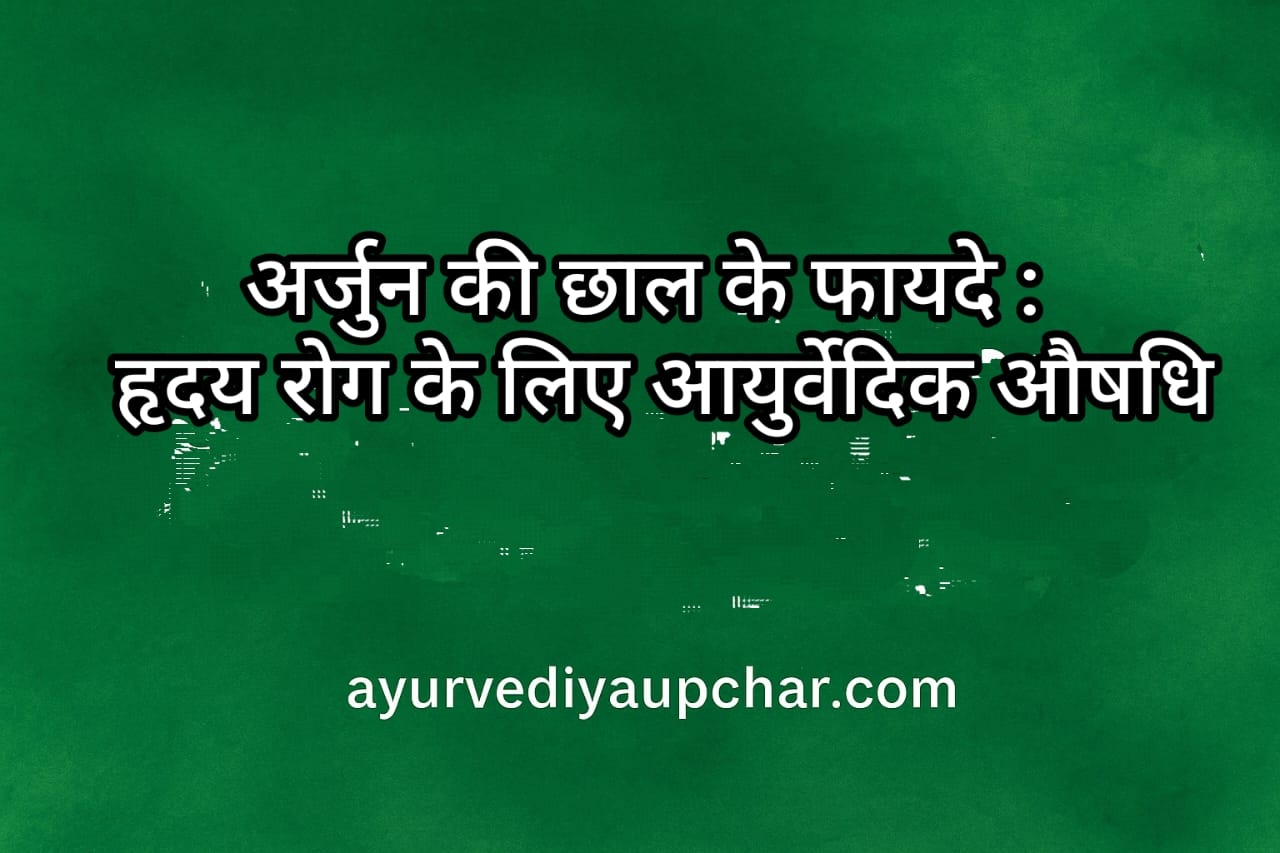 "अर्जुन की छाल के फायदे: हृदय रोग और उच्च रक्तचाप के लिए आयुर्वेदिक औषधि | Arjuna Benefits in Ayurveda"