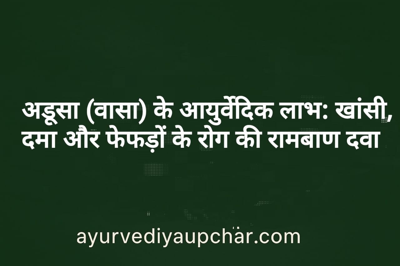 "अडूसा (वासा) के आयुर्वेदिक लाभ: खांसी, दमा और फेफड़ों के रोगों की रामबाण औषधि"