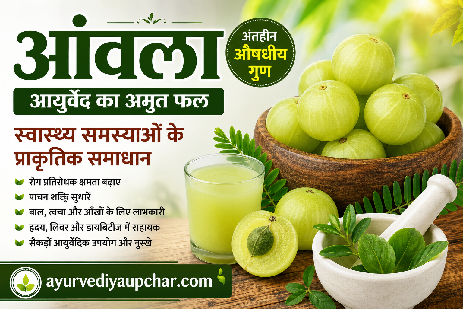 आंवला (Amla): औषधीय गुण, फायदे और पारंपरिक घरेलू उपयोग