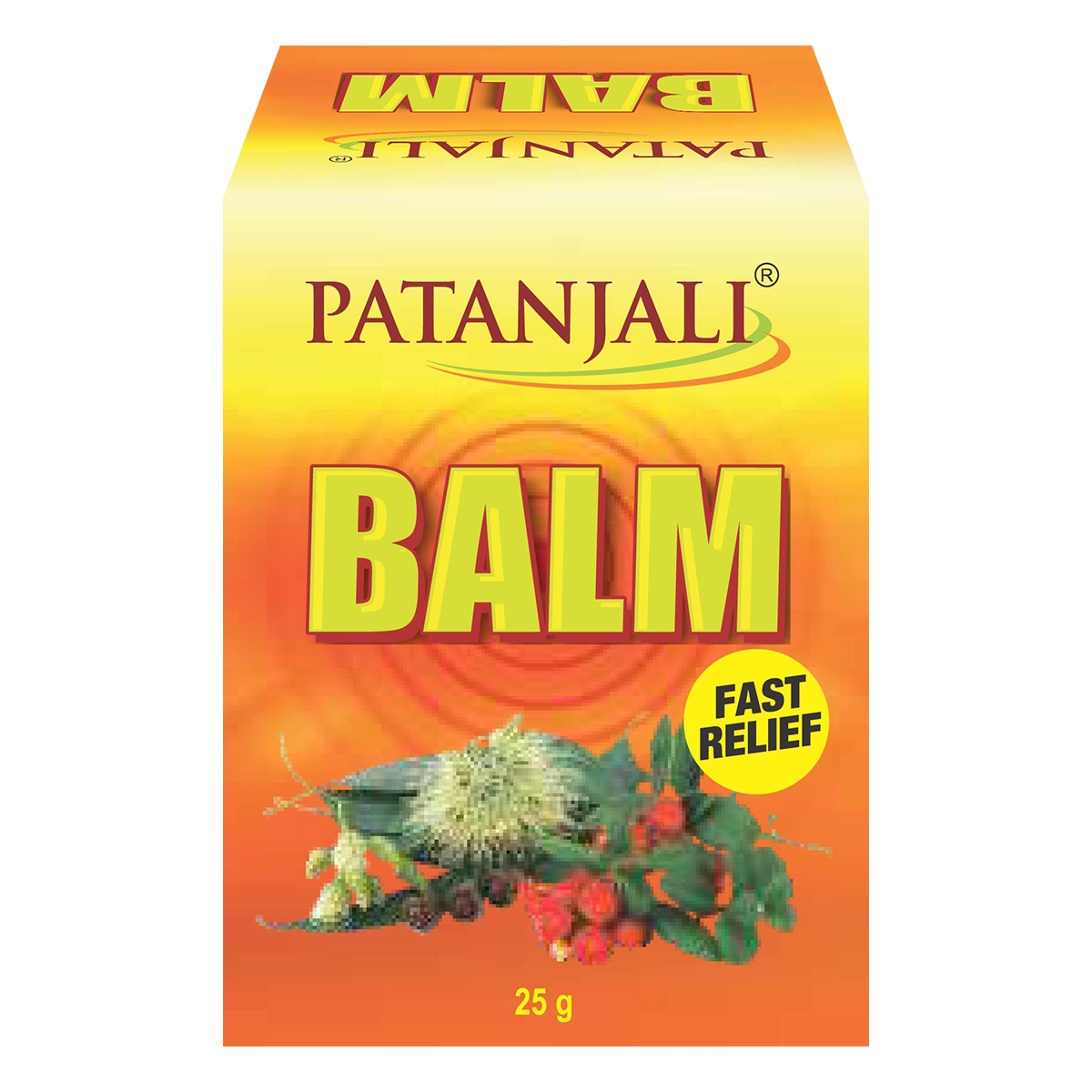 PATANJALI Pain Relief Balm