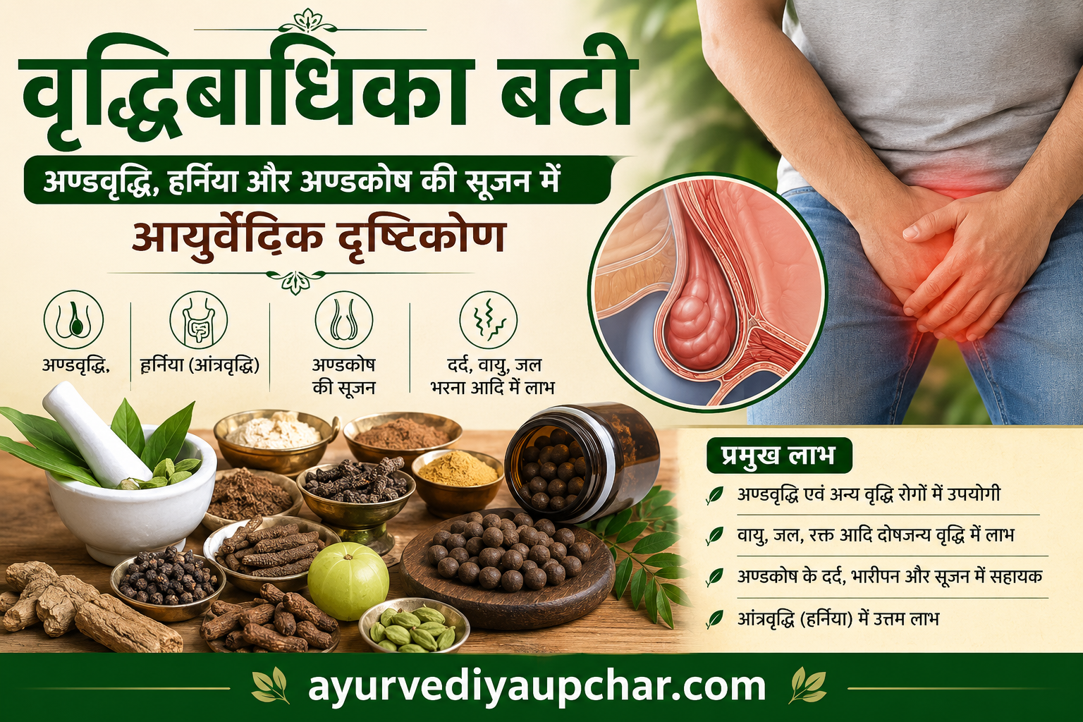 वृद्धिबाधिका बटी: अण्डवृद्धि, अण्डकोष में सूजन और हर्निया के संबंध में आयुर्वेदिक दृष्टिकोण