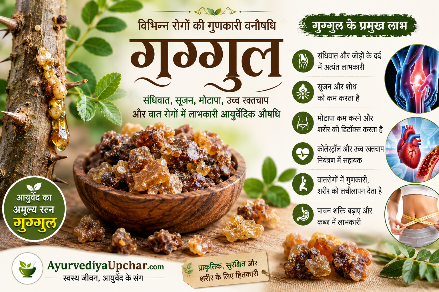 विभिन्न रोगों की गुणकारी वनौषधि : “गुग्गुल”