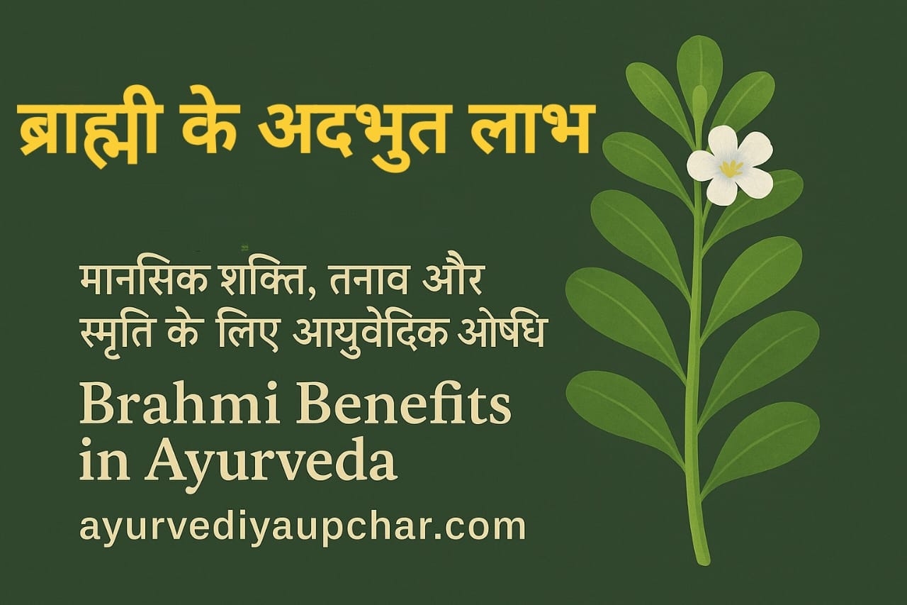 "ब्राह्मी के अद्भुत लाभ: मानसिक शक्ति, तनाव और स्मृति के लिए आयुर्वेदिक औषधि | Brahmi Benefits in Ayurveda"